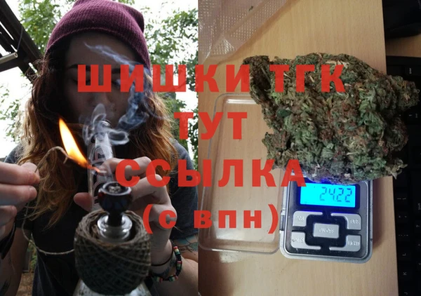 гидра Алексин